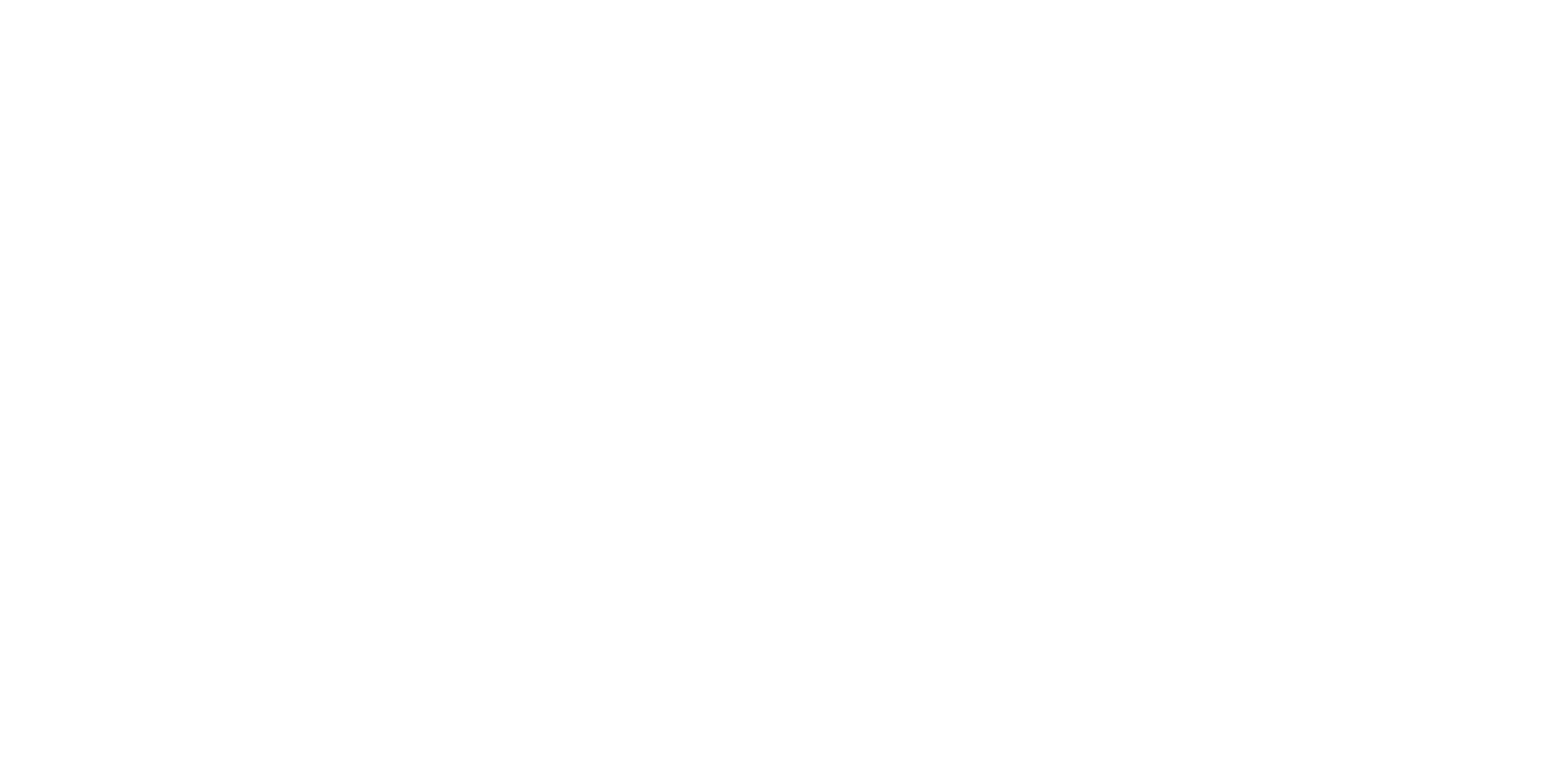 Pasha Fencer